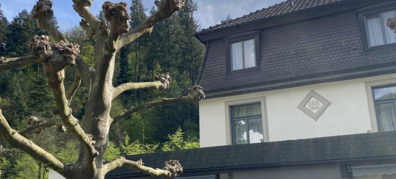 施呃德酒店(Hotel Scheid)图片