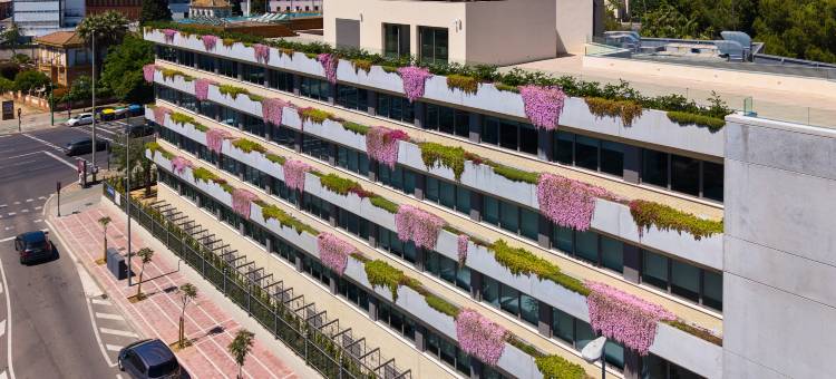 塞维利亚伊瓦拉酒店(Hotel Ybarra Sevilla)图片