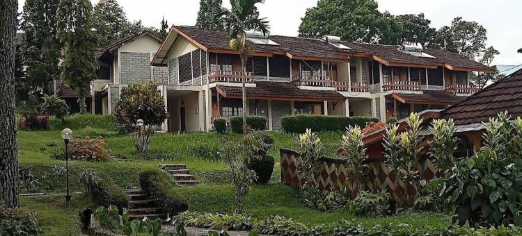 Megamendung Permai 度假酒店(MEGAMENDUNG PERMAI HOTEL & RESORT)图片