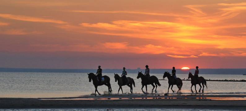 ELIÁ Stylish Holiday Chalet with Private Pool, BBQ图片