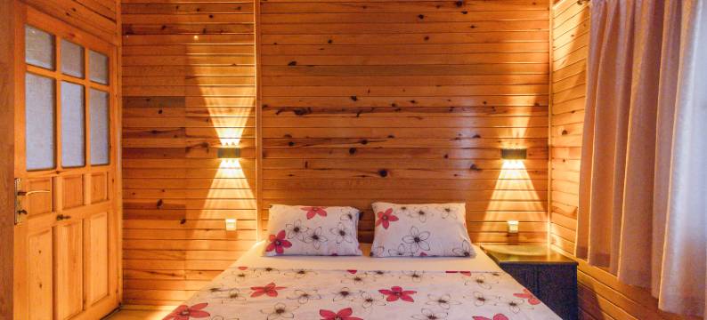 Holiday House Dilek图片