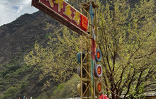 成邛鱼府餐厅图片
