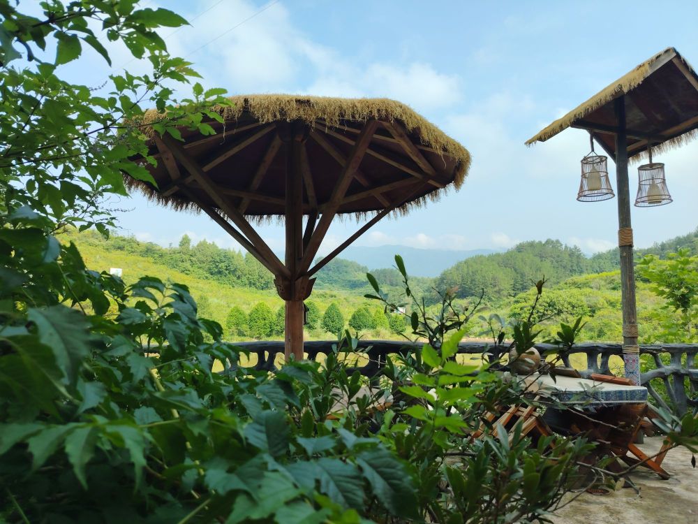 桃溪岛农庄餐厅图片