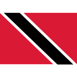 【2025 美洲金盃分組賽階段】美國 vs Trinidad and Tobago｜2025年06月15日