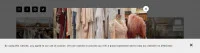 給我穿衣服！ 2024 年復古時裝展