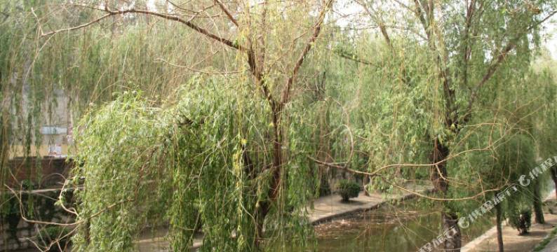 济宁金丰旅馆图片