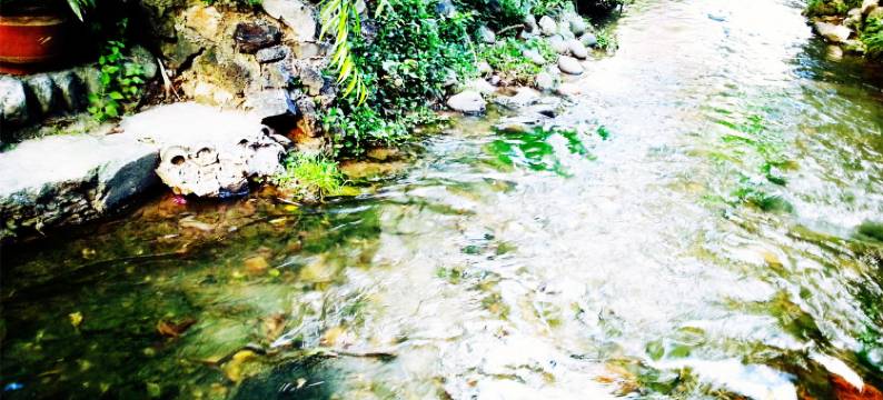 丽江水墨四季客栈图片