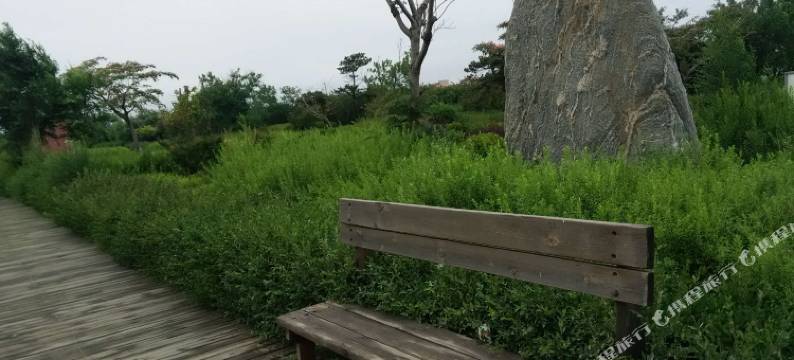 秦皇岛旭缘渔家院图片