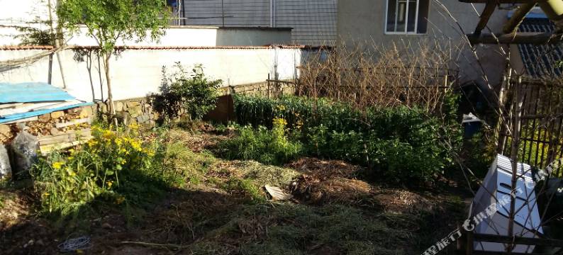 莫干山枫雅居山庄图片