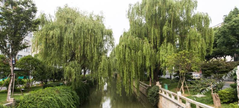 苏州嘘童时代青旅图片