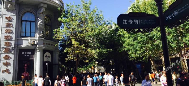 百年俄式老洋房民宿(红专街店)图片