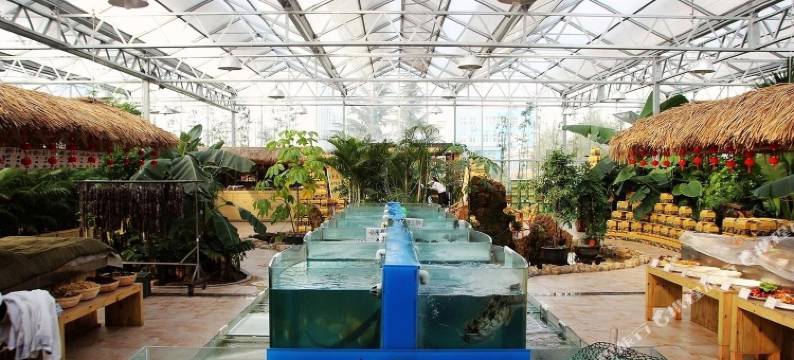 青岛世苑丽舍商务酒店图片