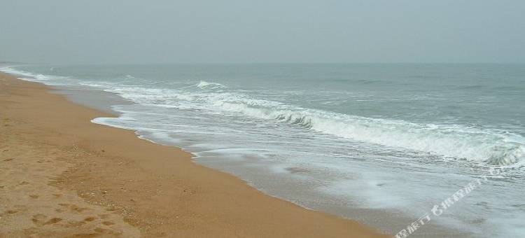 日照鑫隆渔家图片