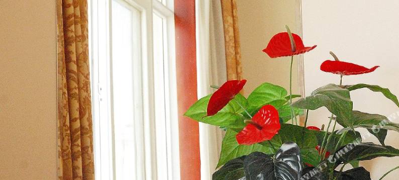 大理格木酒店图片