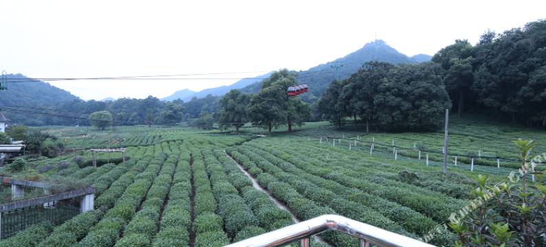 杭州山霞酒店(灵一弘店)图片