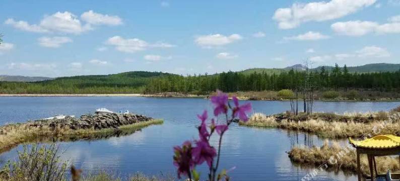 阿尔山峰情园酒店图片