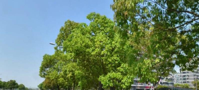 柏素酒店公寓(宁波天水广场店)图片