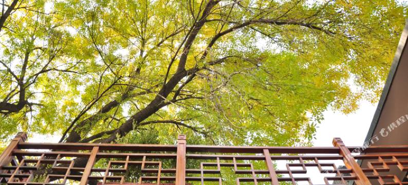 北京晓筑民宿图片