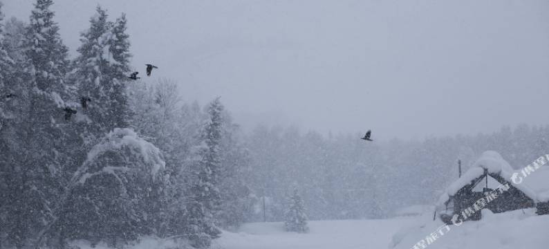 禾木时光里花园民宿图片