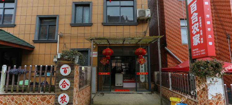 大奇山百合农家图片