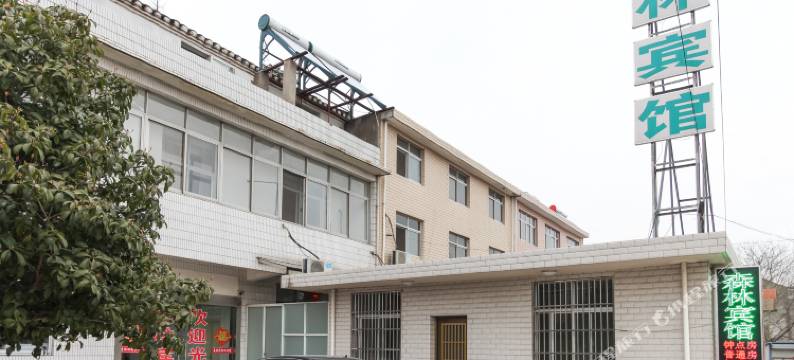 泰兴森林宾馆图片