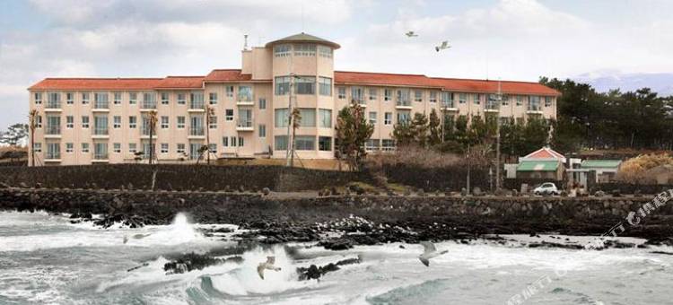 济州韩林姆肯辛顿度假村(Kensington Resort Jeju Hanlim)图片