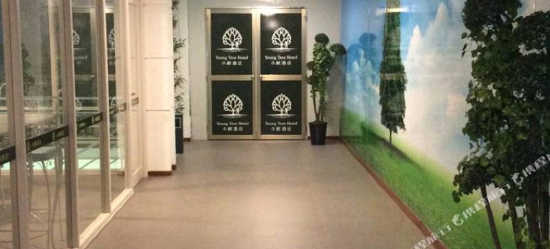 汕头小树酒店公寓图片