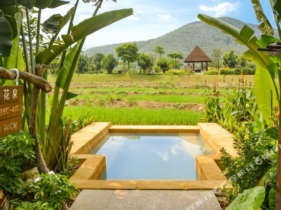 江门恩平爱必侬泉林酒店-别墅房(带独立泡池) 双人无限次水禾田温泉