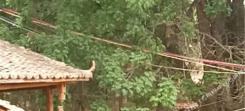 普者黑福顺居客栈图片