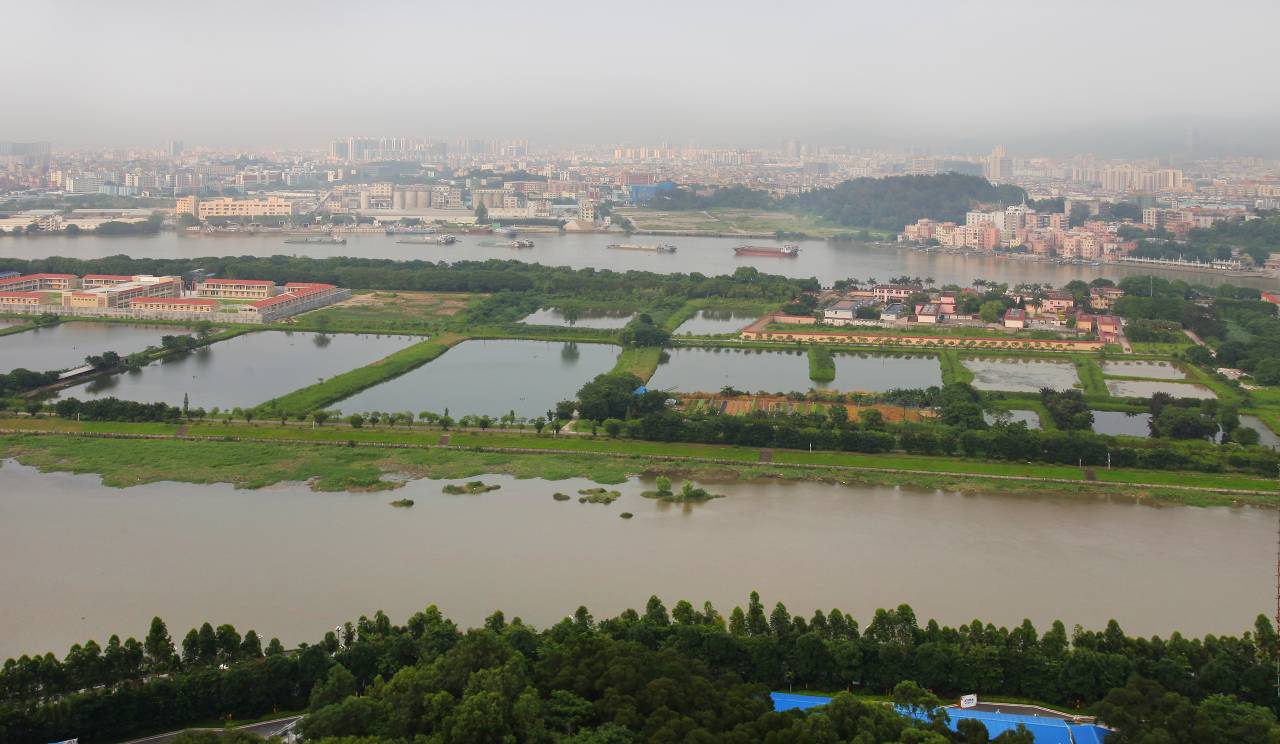 广州不离初心普通公寓(彩滨北路分店)