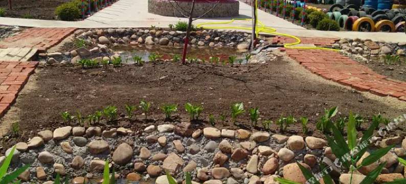 丹东桃花源生态园图片