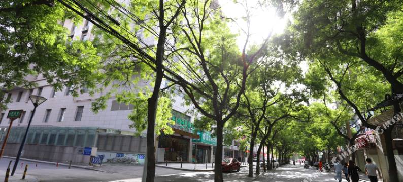 格林豪泰商务酒店(西安明城墙五路口地铁站店)图片