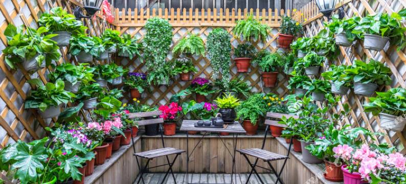 上海Ann-sweet-home老洋房(常熟路分店)图片