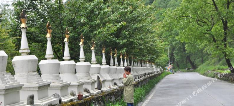 理县古尔沟西康·亚温泉酒店图片