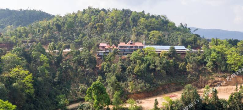 勐海龙巴庄园图片