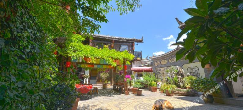 丽江木壹和居客栈图片