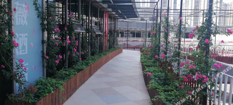 蔷薇艺术酒店(宁波北仑银泰城店)图片