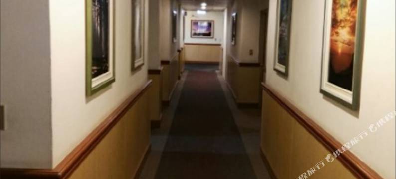 嘉义阿里山阁大饭店图片