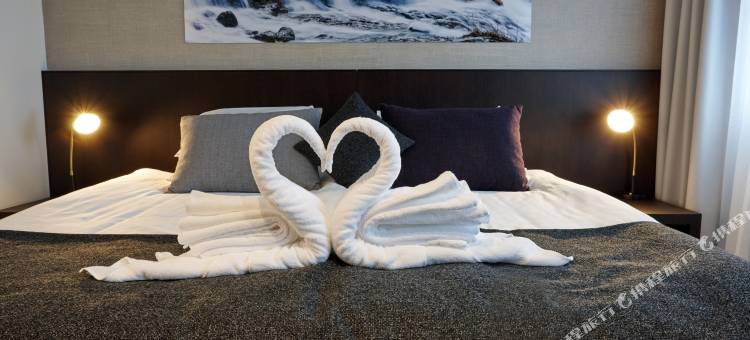 雷克雅未克福斯酒店(TOP CityLine Fosshotel Reykjavik)图片