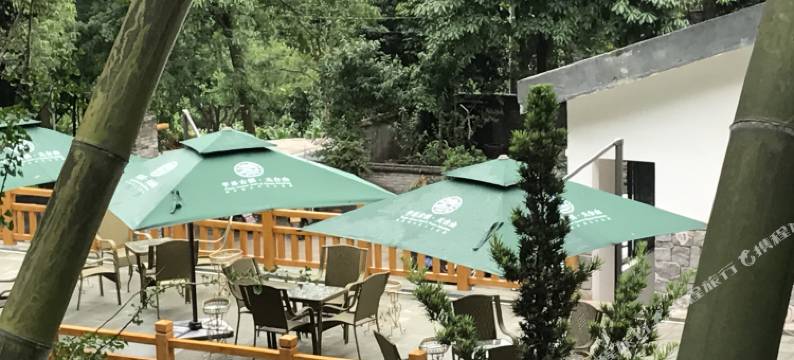 天台山云海苑图片