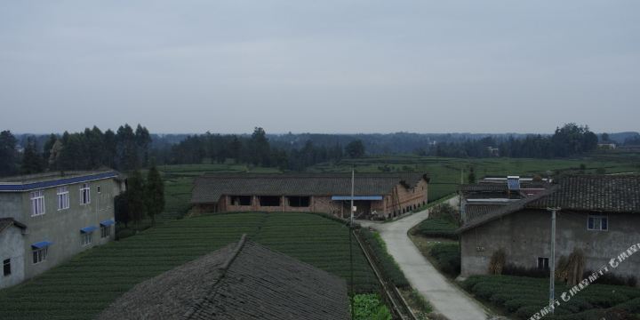 邓坪村地名网_四川省雅安市名山区马岭镇邓坪村资料简介