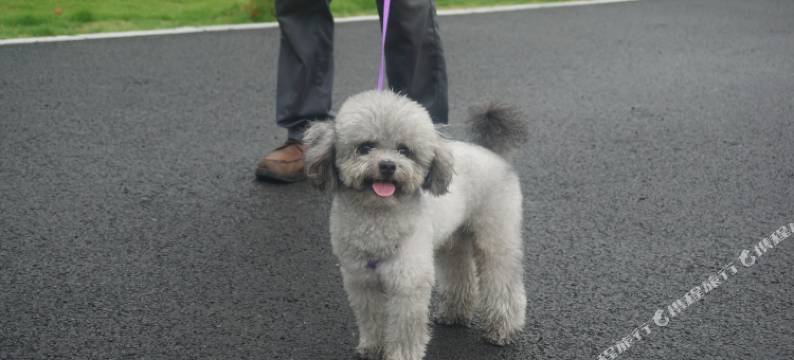 宁波小隐上水国际房车度假基地图片