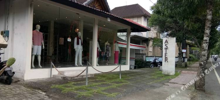 乌布基诺费鲁奇别墅(Gino Feruci Villa & Spa Ubud Bali)图片