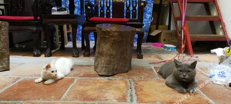 广州进士第客栈图片