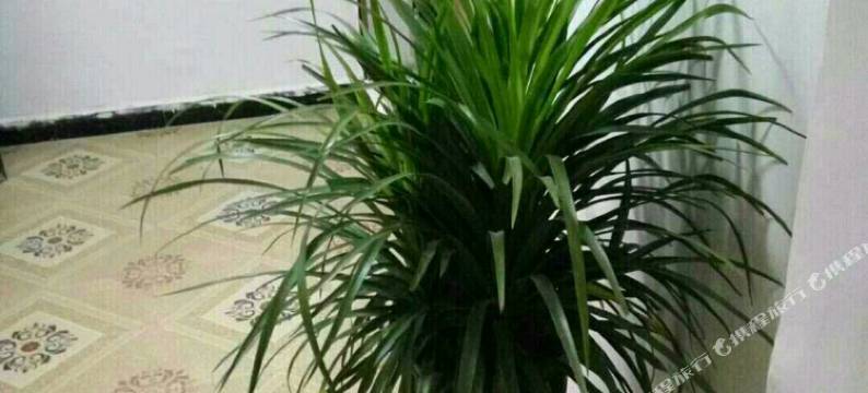 安丰宾馆(南昌西站店)图片