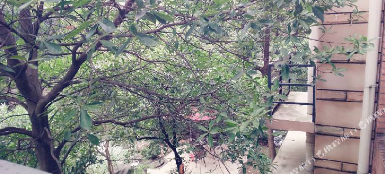 合肥别墅轰趴馆(西二环路辅路分店)图片