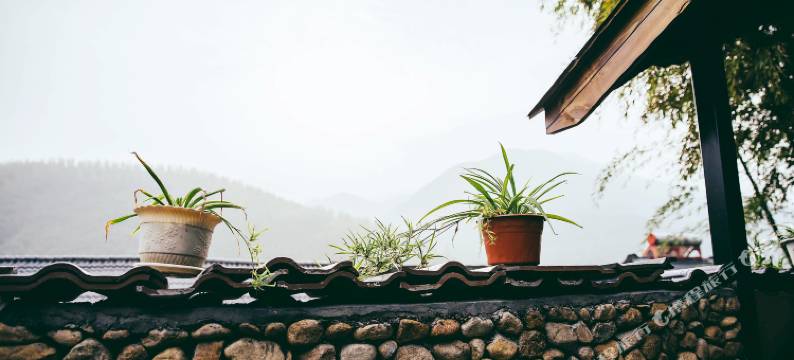 莫干山溪源山庄图片