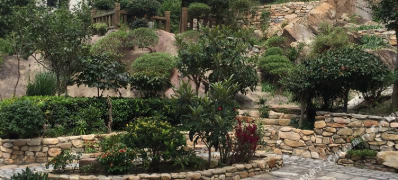 千禧龙农家乐山庄图片