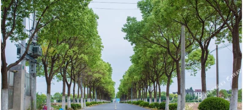 上海晓栈民宿图片