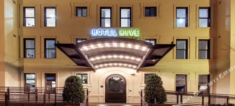 蜂巢酒店(Hotel Hive)图片